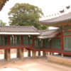 チマ岩の伝説のヒロイン端敬（タンギョン）王后！朝鮮王朝王妃側室物語９