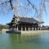 仁宗（インジョン）の毒殺を狙った文定（ムンジョン）王后の悪行とは？